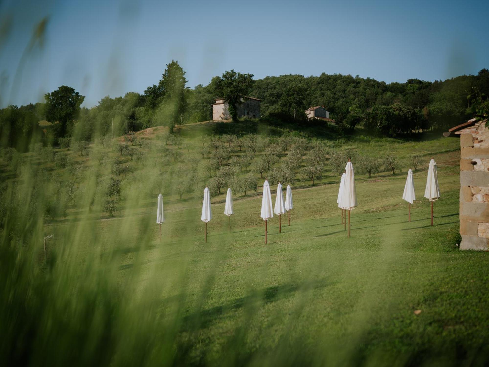 Agriturismo Podere Tovari Anghiari Eksteriør bilde